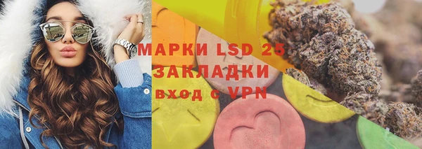 ПСИЛОЦИБИНОВЫЕ ГРИБЫ Аркадак