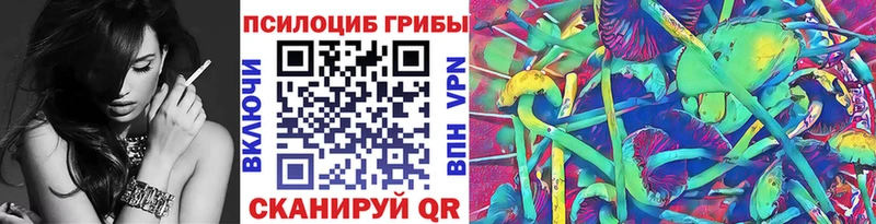 Купить  Зарайск  Псилоцибиновые грибы MAGIC MUSHROOMS 