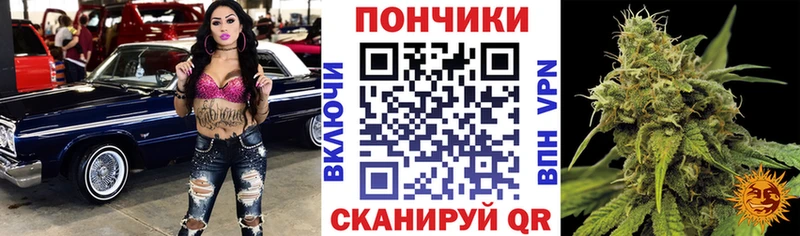 Купить где  Зарайск  Конопля MAZAR 